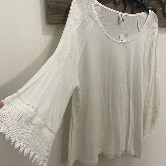 Cato Tops - Woman’s Cream Top